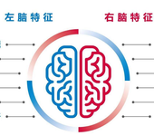 家有儿女全脑开发加盟费投资多少