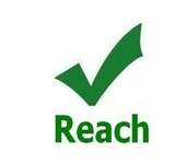 欧洲亚马逊金属类饰品REACH测试REACHXVII232763