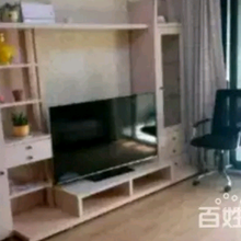 龙华地铁站旁《龙鑫苑》听说卖得很火?有保障吗图片