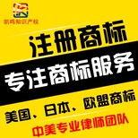 注册一个波兰VAT需要的时间要多久，需要什么资料吗？图片2