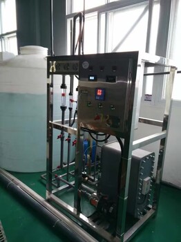 EDI超纯水设备车用尿素生产勾兑用水反渗透EDI水处理设备