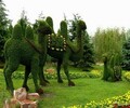 北京仿真綠雕植物定制仿真綠雕植物定制價格