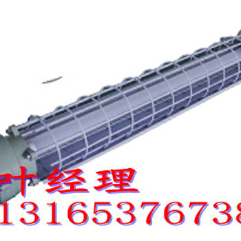 DGS12/127L(B)隔爆型LED巷道燈