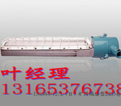 DGS48/127L(B)矿用隔爆型LED巷道灯-您的指路明灯