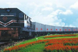 越南河内班列，越南铁路进出口运输，越南双清