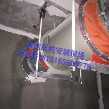 福建廈門(mén)大功率排煙風(fēng)機(jī)生產(chǎn)廠家