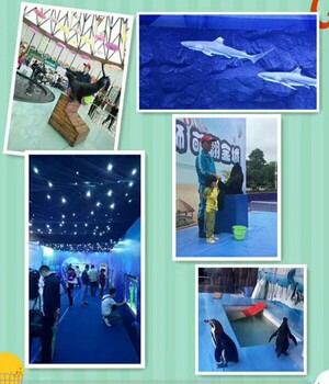 瑞昌市马戏团表演海洋生物展览多少钱一场