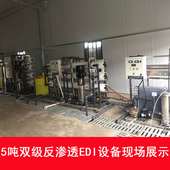 工業(yè)大型二級(jí)雙級(jí)反滲透加edi高純水制取設(shè)備超純水生產(chǎn)設(shè)備