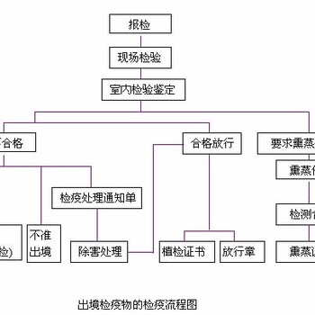 大蒜出口报关报检真不难出口大蒜商品检验就这么办