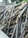粗电缆回收（当下粗电缆回收多少钱一米）厂价回收