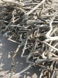 佳木斯500铝电缆回收收购500铝电缆本地回收