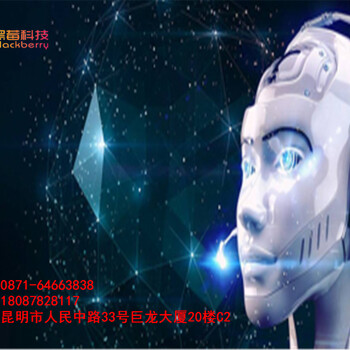 四川百應(yīng)AI電銷機(jī)器人營銷市場競爭如此大