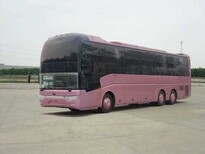 嘉兴到武汉的长途汽车客车欢迎致电图片0
