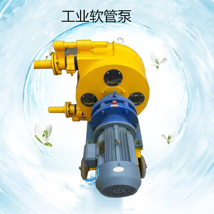 桂林市河池软管泵代理