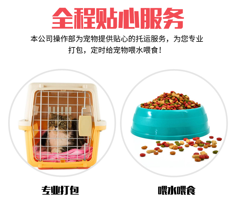 玉林猫咪托运大巴托运价格