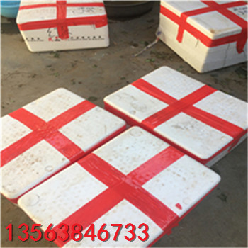 供應(yīng)京藏草莓苗品種介紹