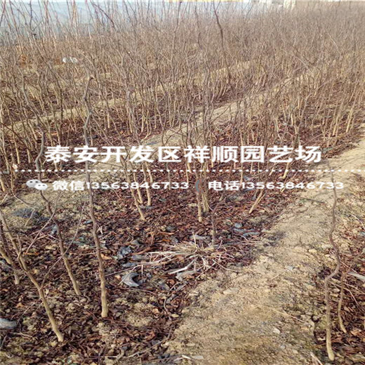 1538379825044813100-0.JPG@4e_1c_520w_520h_90Q|watermark=1&t=50&object=d2F0ZXIucG5nQDMwUA
