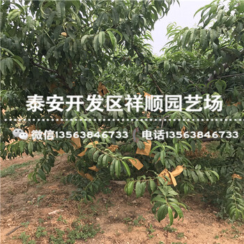現(xiàn)在2公分的中油18號批發(fā)價格多少