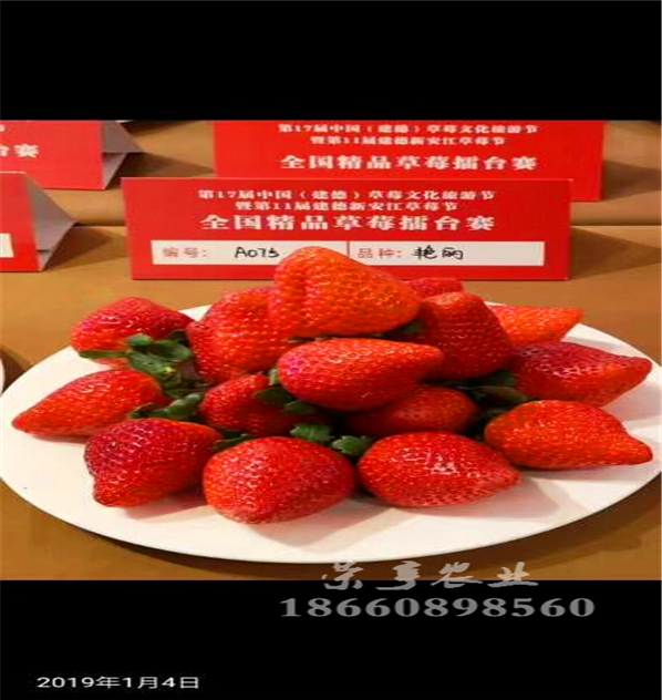 德宏甜王草莓苗畝產(chǎn)多少