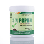 绿陇微生物肥料PGPR菌改良土壤防治病菌