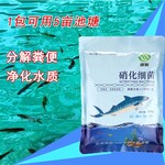 绿陇生物硝化细菌水质改良剂