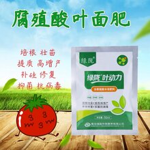 绿陇叶动力蔬菜果树保花保果增产通用芸苔素腐殖酸叶面肥图片