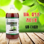 绿陇em原液种植专用