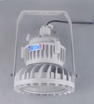 led防爆燈led50w70w100w防爆吊桿燈
