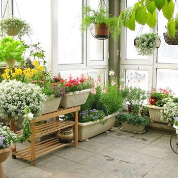 青島花卉租賃/綠植租賃公司
