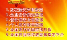 中国旅游报登报中心-中国旅游报广告中心图片2