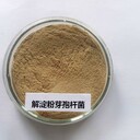 高品質(zhì)1000億解淀粉芽孢桿菌生物肥料添加功能菌腐熟劑