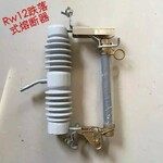 10KV跌落式熔断器RW12-12/100A