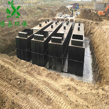 诸城隆鑫环保日处理量300吨农村生活污水处理设备