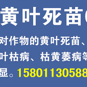 鑫科植保红中柱根腐灵草莓炭疽病蔓枯病根腐病茎基腐枯黄