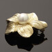 云南哪里可以免费鉴定,交易拍卖展览服务珍珠