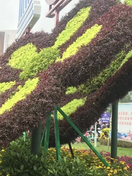定制四川成都仿真綠雕造型真假植物花朵都可以制作哦