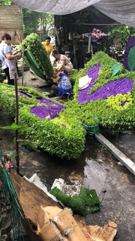 2020年仿真草花大力打造民宿植物墻體哦顏色多樣好看常年不變色