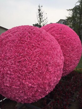四川定制真植物生態(tài)雕塑，造型多樣仿真綠雕