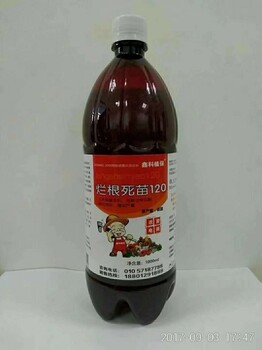 辣椒根腐病爛根病農(nóng)藥