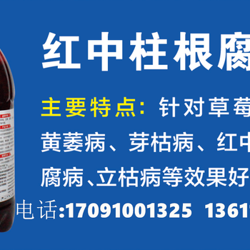 幾招教你搞定草莓炭疽病，鑫科植保草莓紅中柱根腐靈