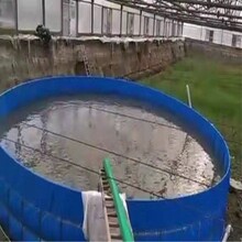 江西帆布鱼池厂家-帆布水池能不能养鱼