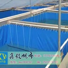 折叠帆布鱼池-简易养殖帆布水池-对虾养殖帆布池