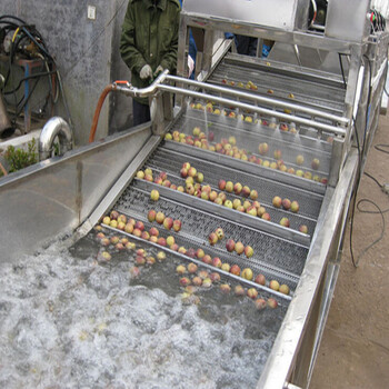 玉米清洗生产线净菜加工设备生产线叶类蔬菜清洗机