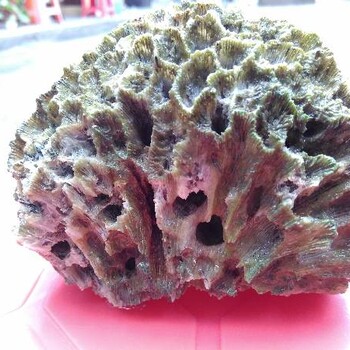 云南哪里可以免费鉴定珊瑚工艺品，如何鉴定珊瑚石的真假？