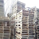 郑州木托盘回收公司大量回收木托盘，实木板，木栈板高价现结