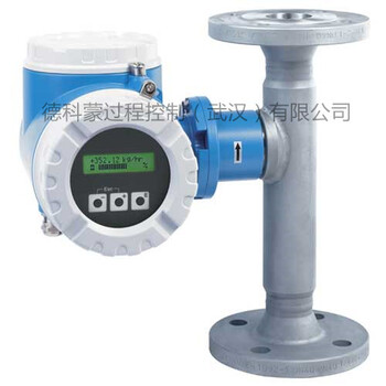 德國E+H流量計E200/8E2B科氏力質(zhì)量流量計