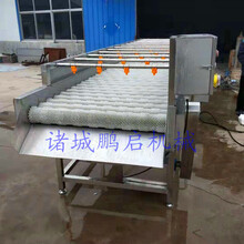 多功能通過式毛輥清洗機威海海蠣子清洗機