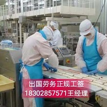 出国劳务/工资月发招聘建筑技术工、工厂普工/年薪40万图片