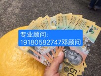 上海宝山新西兰0费用名额有限急招男女不限月3万收入图片1