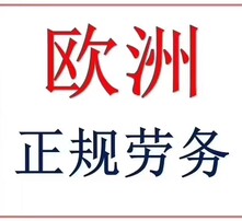 太原司机招聘_神州专车郑州招募司机 月入8千还上五险一金(2)